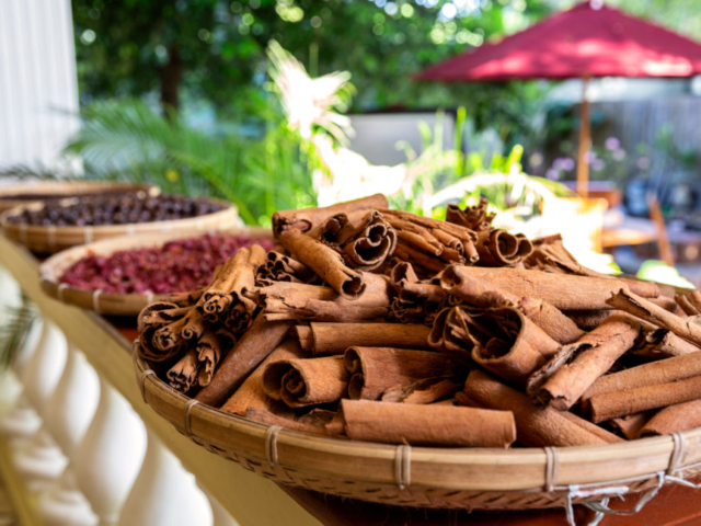 Fresh Cinnamon on the Banda Islands with Coralia Liveaboard in Indonesia